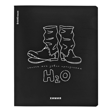 A set of subject notebooks 48 sheets, 12 pieces, Erichkrause "Ves in the root", plastic cover silk-screen covers, Blok Offset 100%, information block-16
