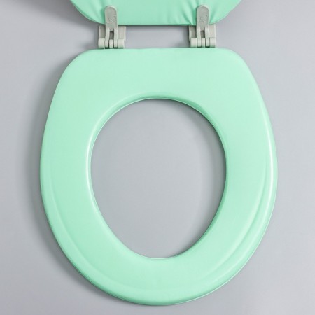 The toilet seat with a lid, Rossplast, 43 x 37 cm, soft, green color, Mix drawing-1