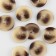 A set of buttons, 4 punctures, d = 18 mm, 10 pcs, beige/brown color