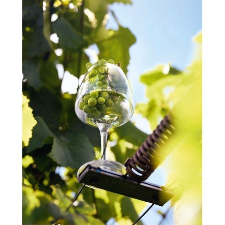 CHEF & sommelier Open Up, 320 ml, glass-6