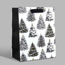 Package Gift New Year Laminated 