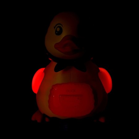 Catcam "Duck-Nesushka", sound effects, lays eggs-9