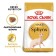 Dry food RC SPhynx for sphinxes, 2 kg