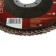 Circle of petal end scrap, 115 x 22 mm, P100