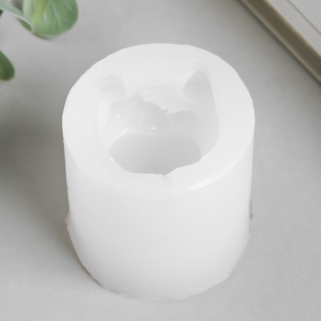Mold Silicon "Cat with a fish" 4,5x4.6x4.6 cm-1