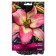 Lilia Lilia La-gibids Samur, 14/16 rr, 2 pcs. 130 h (cm), autumn 2024