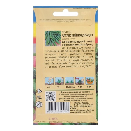 Cucumber seeds "Altai waterfall F1", 0.25 g-1