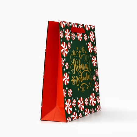 Package New Year's laminated “New Year's miracles”, m 30 x 26 x 9 cm, New Year-2