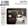 Foil ball 31 "Dniegoff GOLD", square, set of 50 pcs.