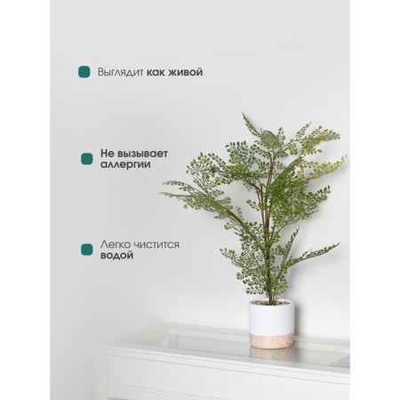 Curly fern in a cement pot, 125 × 125 × 710 mm, green / white / beige color-4
