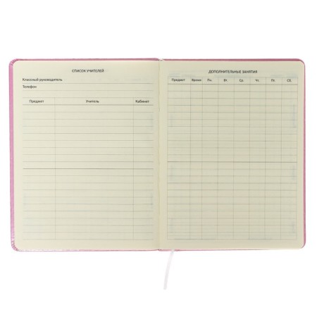 The universal diary for grade 1-11 is true or something?, Firm cover, artificial leather, foam rubber, lies, 80 g/m2-5