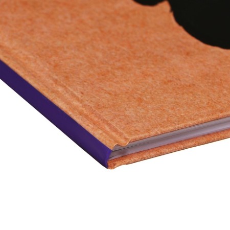 Diary solid cover 1-11 grade 48 sheets, "Iskra", cover cardboard 7BC, glossy lamination, cheat sheet-2