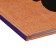 Diary solid cover 1-11 grade 48 sheets, "Iskra", cover cardboard 7BC, glossy lamination, cheat sheet