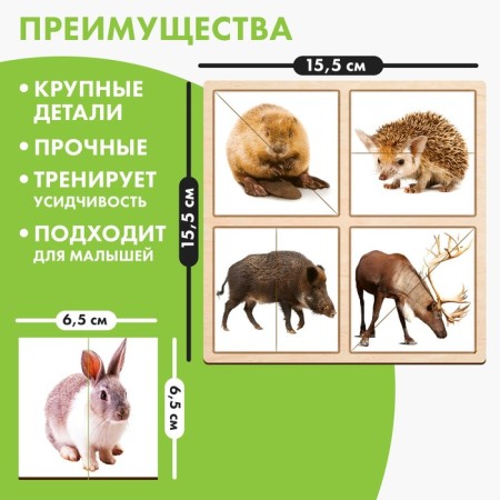 Pictures-pools "Forest animals"-1