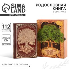 The genealogy book in the box 
