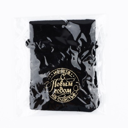 Coin in the New Year's Bag “successful year” for the New Year, diam. 2.5 cm-4