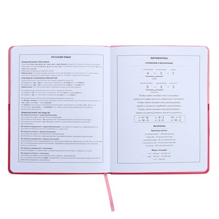 Universal Grade 1-11 Diary, 48 pink sheets, firm artificial leather cover, pancake embossing, liesse-11