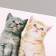Stick 3D interior cats 29*21cm