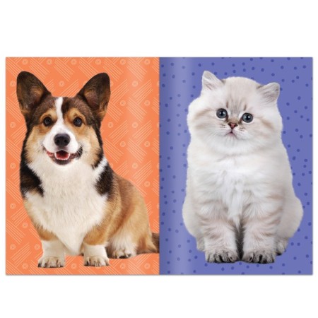 Book with stickers "Decorate the pet", 12 pp., 55 stickers-2