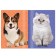 Book with stickers "Decorate the pet", 12 pp., 55 stickers