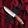 Caucasian knife, tourist "Golden Eagle" with scabbard, guard, steel - 40x13, 15 cm