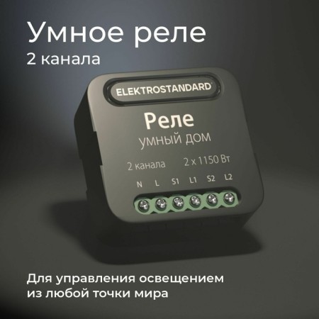 Relay Wi-Fi Elektrostandard, 46x18x46 mm, IP20, black color-1