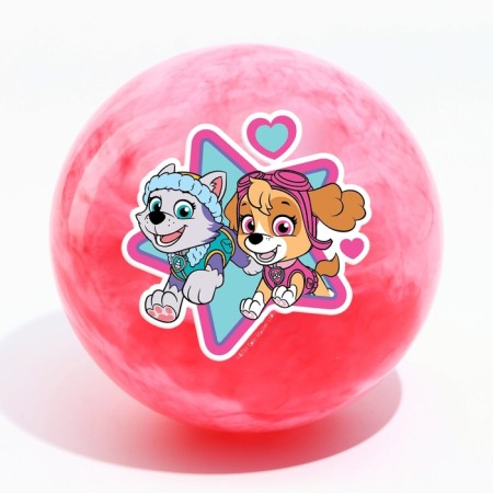 Children's ball PAW Patrol "Sky and Everest", 22 cm, 60 g, marble, mix-3
