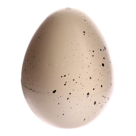 Growing animals natural egg maxi "dinosaurics" mix-2