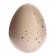 Growing animals natural egg maxi "dinosaurics" mix