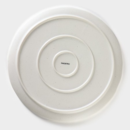 Porcelain dish for feeding Magistro Slate, D = 27.2 cm, white color-3