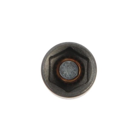 Bit with the end head of the tundra, steel CRV, magnet, 10 x 45 mm-3