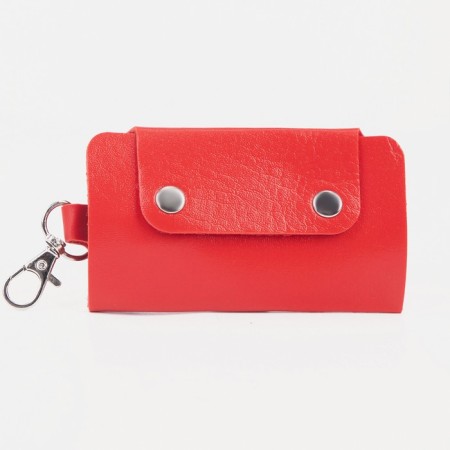 Key on the buttons, length 11 cm, 7 carabiners, red color