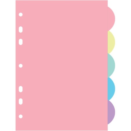 The division of sheets A4 (300 x 225 mm) color, 5 sheets, "Devente. Pastel" polypropylene 140 μm, individual packaging