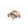 Wooden designer 3D EWA "Mechanical Turtle"
