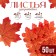 Decor "maple leaf", set of 50 pcs, brown-red color
