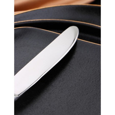 Stainless steel knife "Berkeley", length 23.8 cm, silver color-3