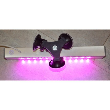 Window phito lamp on a powerful three -point suction cup "Mirzam" 72W-5