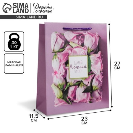 Gift laminated vertical, packaging, “tender in the world”, ml 23 x 27 x 11.5 cm