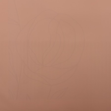 Film for flowers matte, "Poem", 57x57cm, peach-3
