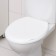 A toilet seat with a lid, snow-white color