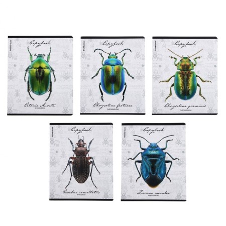 Notebook of 48 sheets in the Erichkrause "Beetles", matte lamination, an offset block 100%, mix