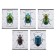 Notebook of 48 sheets in the Erichkrause "Beetles", matte lamination, an offset block 100%, mix