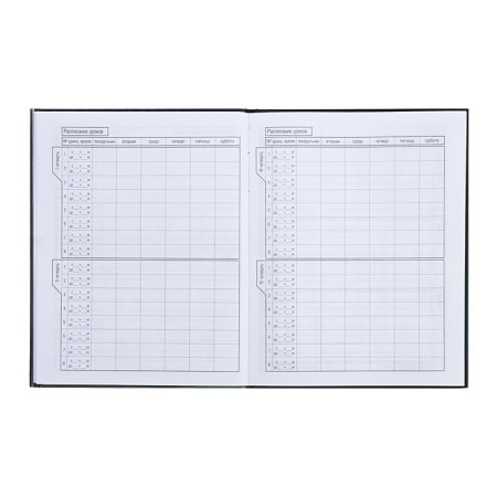 Universal diary for grades 1-11 fluffy happiness, solid cover, matte lamination, 40 sheets-5