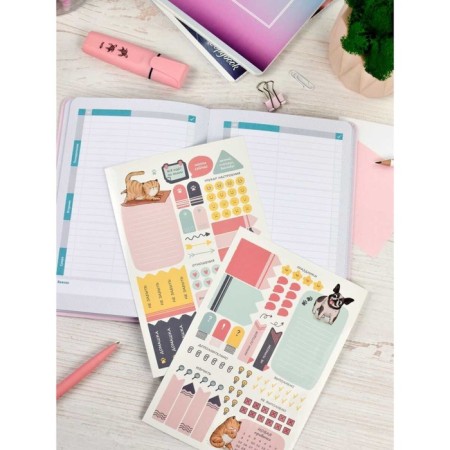 School School A5 80 sheets "pink", solid cover of artificial leather, foil embossing, liesse, reference material, block 70 g/m2-3