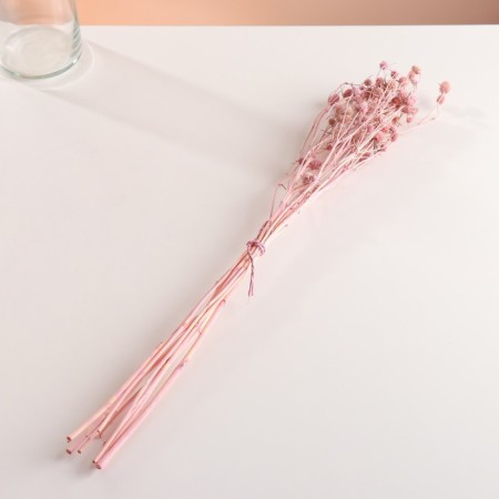A set of dried flowers "Eringium", ban 5 pcs, length 50 (+/- 6 cm), pink-3