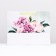 Laminated Pastel Butons Package, 31 x 40 x 11.5 cm