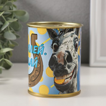 Pigging bank Metal "Do not regret. Throw"-2