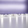 Maytoni LED tape, 24V, IP20, 5050, 12W/m, 6000K, 5 m, monochrome glow