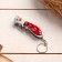 Folding knife, keychain "Shark" 11 cm, mix, handle plastic
