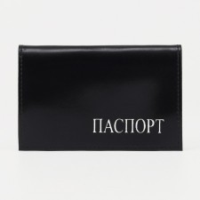 Cover for passport, black color